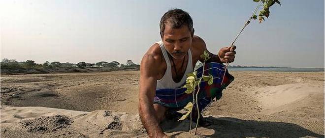 A MAN WHO CREATED AN ENTIRE FOREST ALL BY HIMSELF